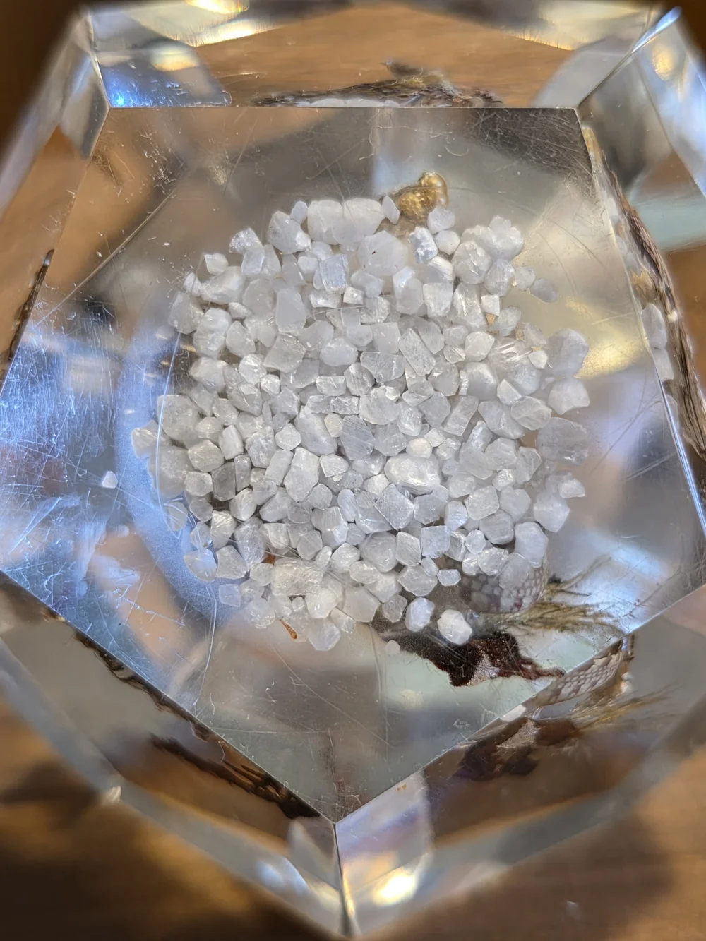 VTG Faceted Lucite Coastal Oyster Paperweight